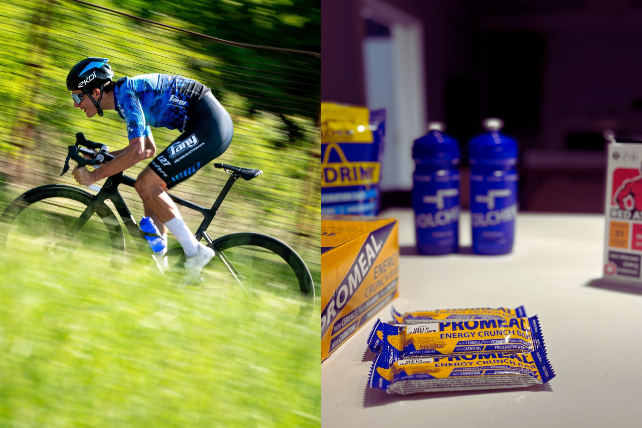 fany-gastro-integray-volchem